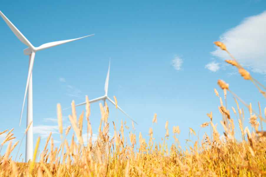 Renewable Energy - What is the best way to stay green in 2025?